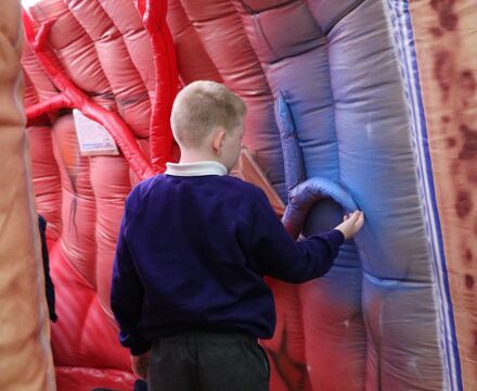 IMG 7753