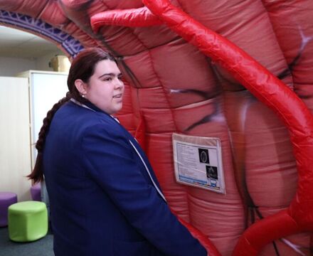 IMG 7663