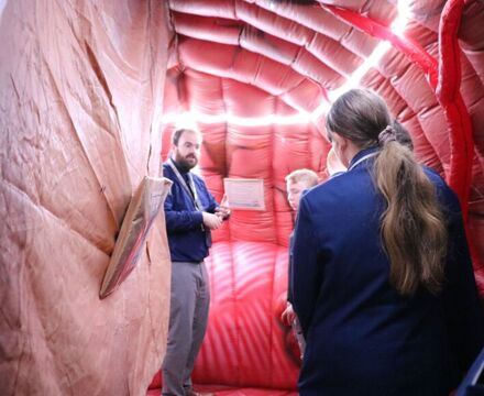 IMG 7568