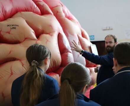 IMG 7555